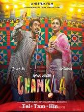 Amar Singh Chamkila (2024)  Full Movie Watch Online Free Download | TodayPk