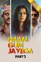 Naam Gum Jayega - Part 2 (2024) HDRip Hindi Atrangii Originals Full Movie Watch Online Free Download - TodayPk